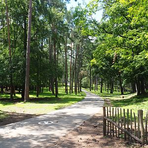 Walking trail crossing the safari car road through the large mixed paddock, 2020-07-12