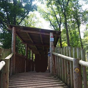 European wolverine viewing area, 2020-07-12