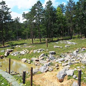 First and newest Eurasian brown bear exhibit, 2020-07-12