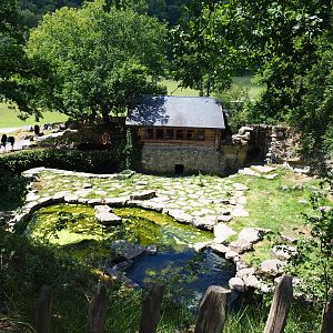 Second and original bear exhibit, 2020-07-12