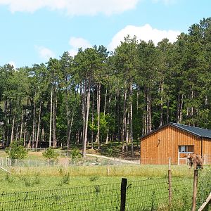 Hoofstock barn and separation area, 2020-07-12