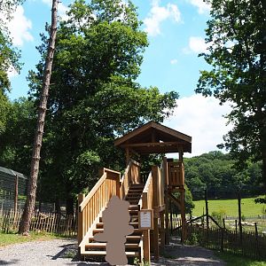 Eurasian brown bear viewing area, 2020-07-12