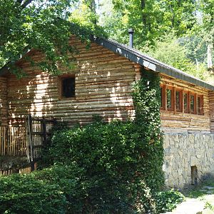 Holding and viewing building original brown bear exhibit, 2020-07-12