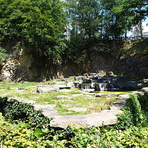 Second and original Eurasian brown bear exhibit, 2020-07-12