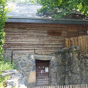 Holding and viewing building original brown bear exhibit, 2020-07-12