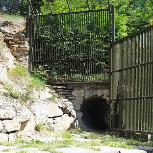 Connection between original Eurasian brown bear exhibit and expansion area, 2020-07-12