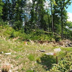 Expansion of the second and oldest Eurasian brown bear exhibit, 2020-07-12