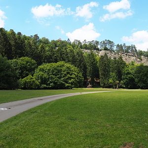 Safari car road in the large mixed hoofstock paddock, 2020-07-12
