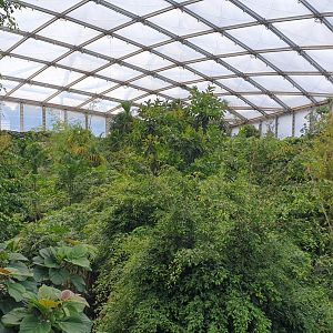 Gondwanaland