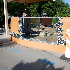 covid barriers on meerkat exhibit