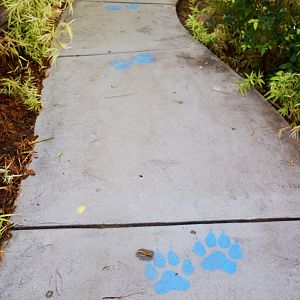 Social distancing markers