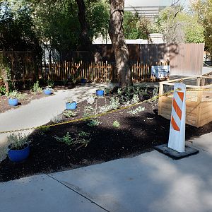 new garden (former Aldabra tortoise exhibit)
