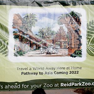 future Asia expansion