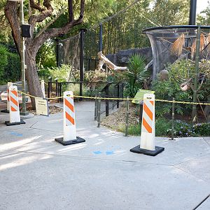 covid barriers at squirrel monkey and jaguar