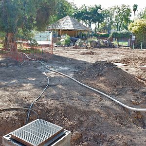 future flamingo exhibit