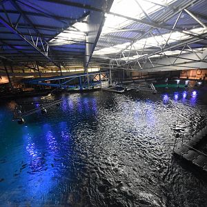 Open ocean tank from above