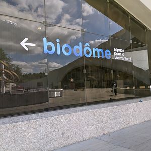 Entrance - reopening 31-08-2020