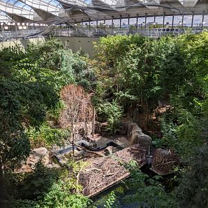 Laurentian Maple Forest 3 - view from the Mezzanine - reopening 31-08-2020