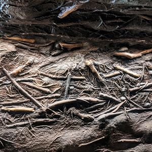 Textured wall "Beaver's dam style" - reopening 31-08-2020