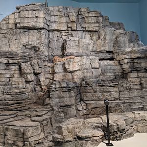 Rocky Labrador Coast - reopening 31-08-2020