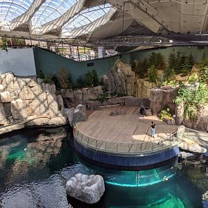 View from the upper level of the stairs 2 - reopening 31-08-2020