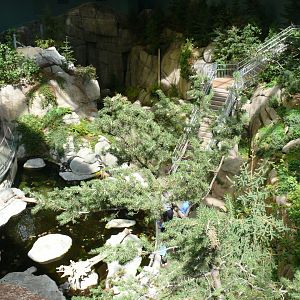 View from the upper level of the stairs 1 - reopening 31-08-2020