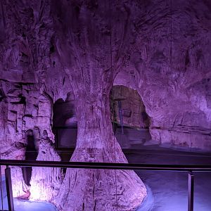 Bat cave - reopening 31-08-2020