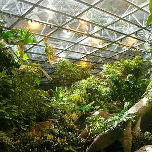 Tropical rainforest overview 1 - reopening 31-08-2020