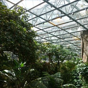 Tropical rainforest - reopening 31-08-2020