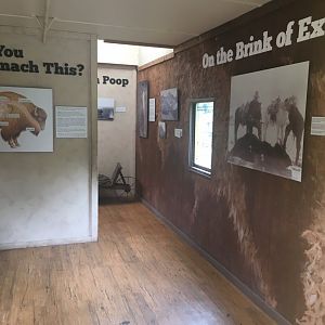 The Grasslands - Train Car interior
