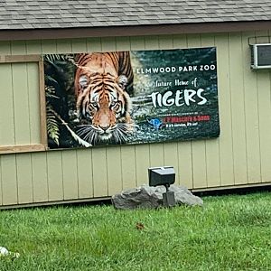 The Elmwood Park Zoo is getting Tigers