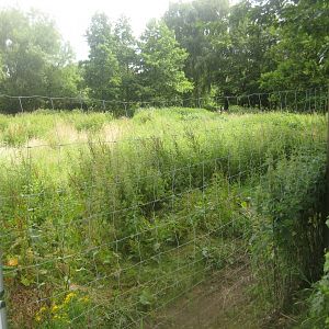 Nordsjællands Fuglepark - Emu exhibit