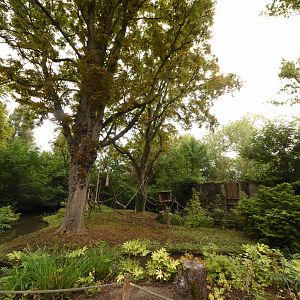 Squirrel Monkey & Spider Monkey Islands