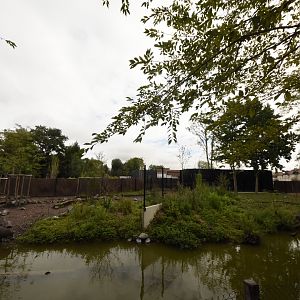 Visayan Warty Pig and Visayan Spotted Deer enclosure
