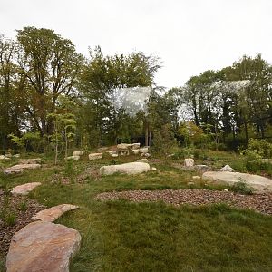 Sumatran Tiger enclosure