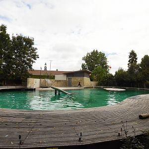Californian Sea Lion enclosure