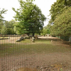 Addax & Dorcas Gazelle enclosure