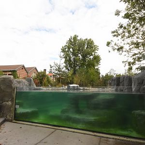 Humboldt Penguin enclosure