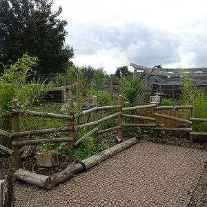 View towards Aardwolf / Tayra Exhibits