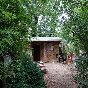 View towards Pygmy Slow Loris / Kinkajou House