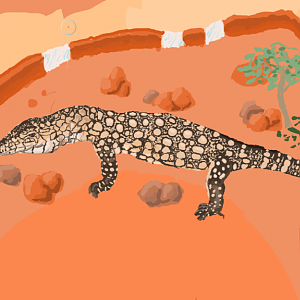 Great Deserts of the West Map Perentie Detail