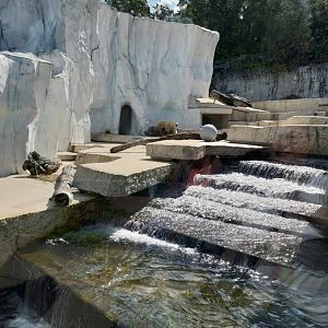 Polar bear Enclosure