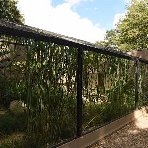 European wading bird aviary