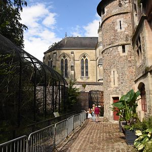 White-cheeked gibbon enclosure