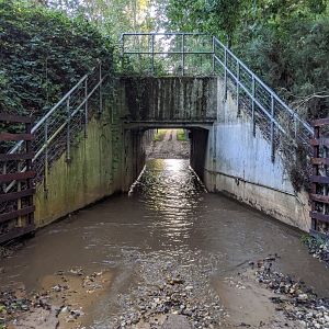 Way in and out of reserve / Watatunga / 1-9-20