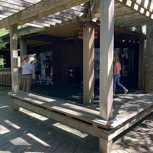 Minnesota trail- wild bird boardwalk