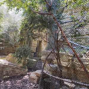Minnesota trail- red fox exhibit