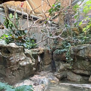 Tropics trail- South American aviary