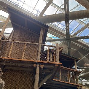 Renovated Southeast Asian walk-through aviary- new overlook area