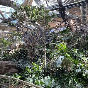 Renovated Southeast Asian walk-through aviary